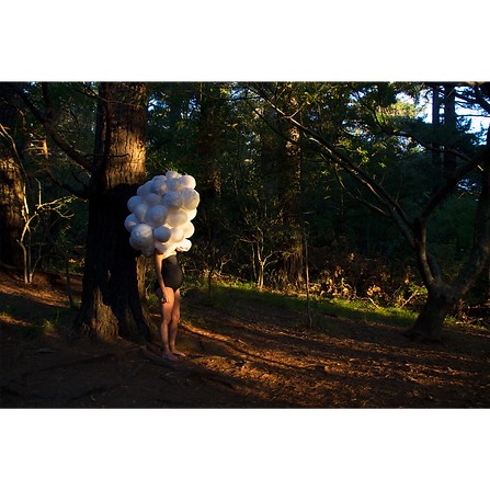 She Could Not See the Forest for the Trees